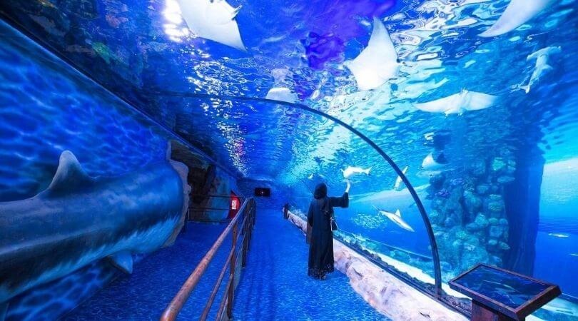 Emaar Aquarium