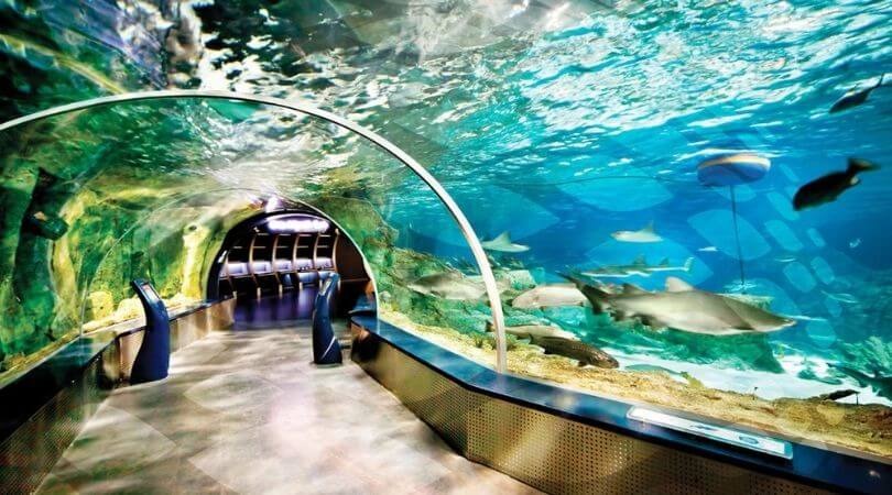 istanbul Aquarium