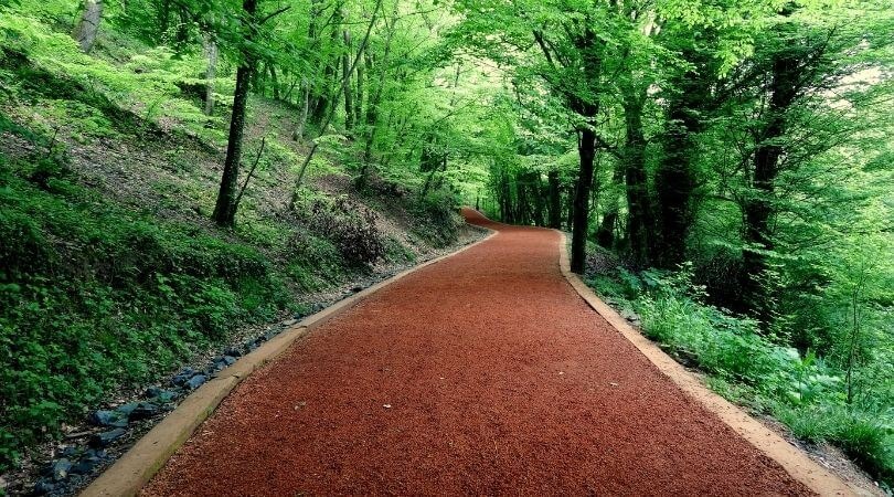 istanbul Belgrad Forest