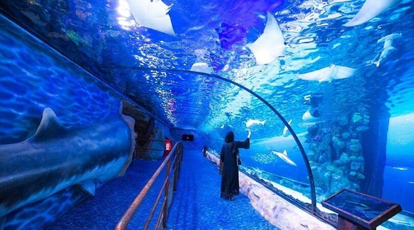 Aquarium d'Emaar