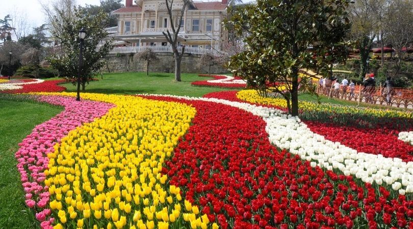 Istanbul Tulip Festival | Experience Istanbul