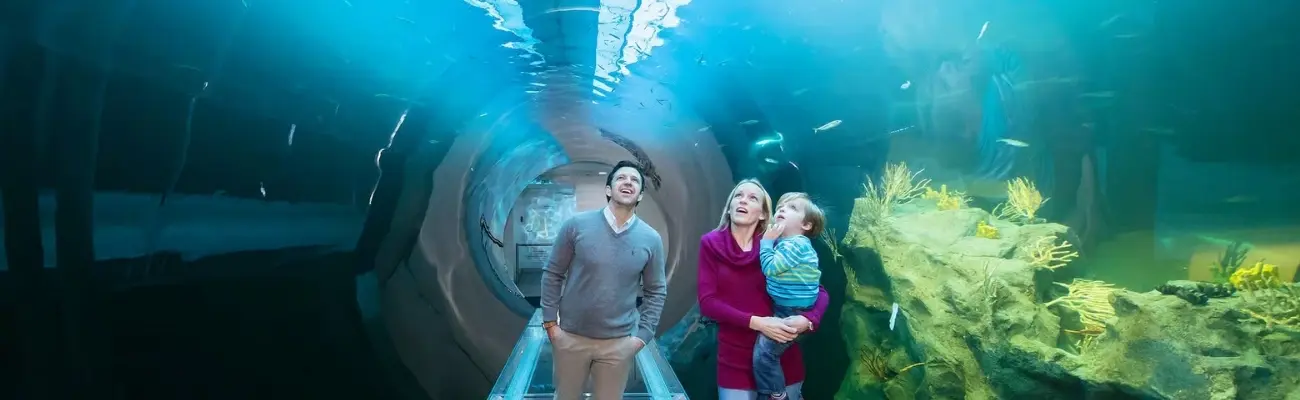 Attractions for Fun with Family in Istanbul