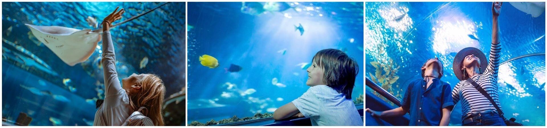 Emaar Aquarium and Underwater Zoo