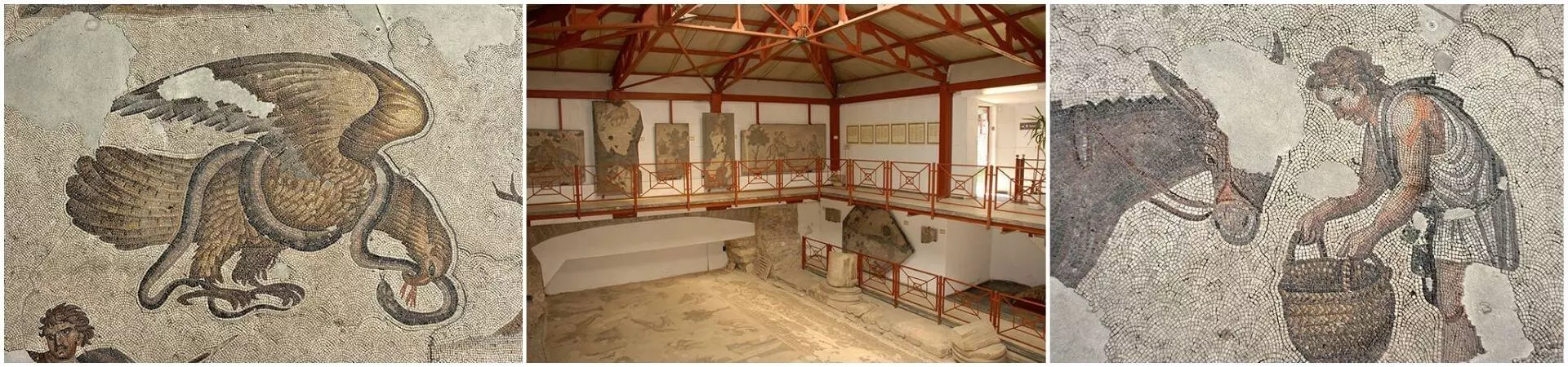 مدخل متحف القصر الكبير للفسيفساء