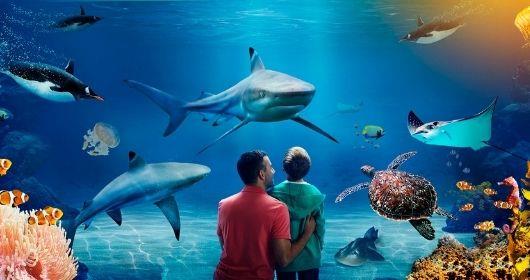 Sealife-Aquarium Istanbul