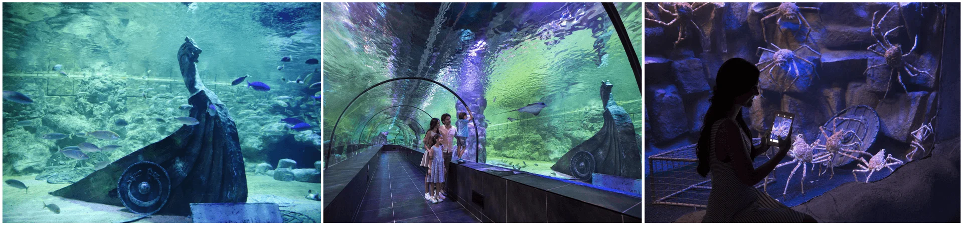 Viasea Aquarium & Crocodile Park Entrance