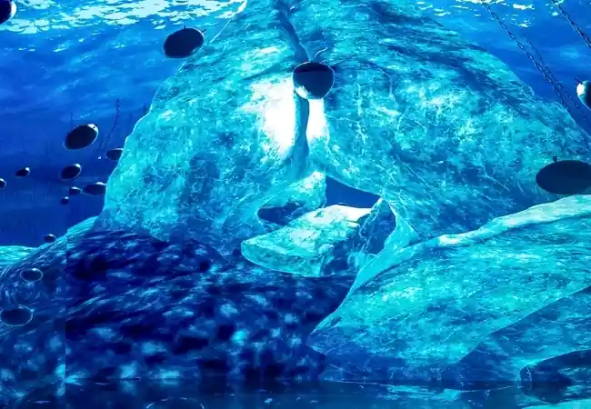 Digital Experience Museum