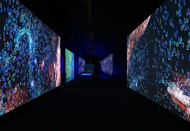 Digital Experience Museum