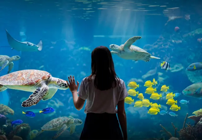Emaar Aquarium And Underwater Zoo