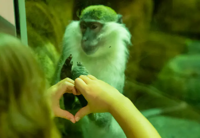 Emaar Aquarium And Underwater Zoo