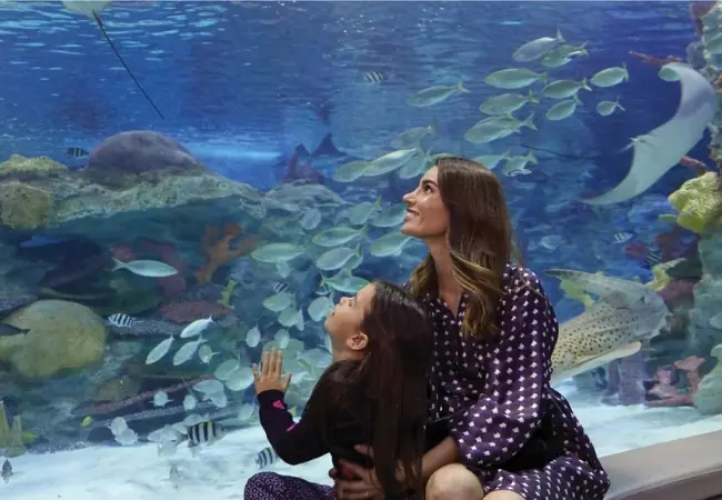 Emaar Aquarium And Underwater Zoo