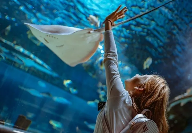 Emaar Aquarium And Underwater Zoo