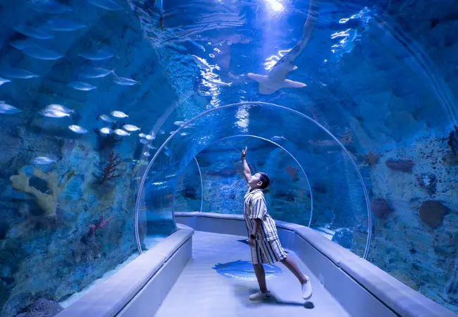 Emaar Aquarium And Underwater Zoo
