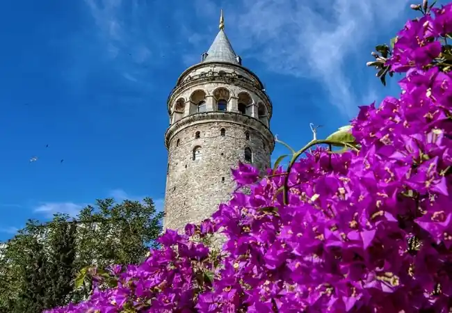 Galata Tower Entrance Discounted 