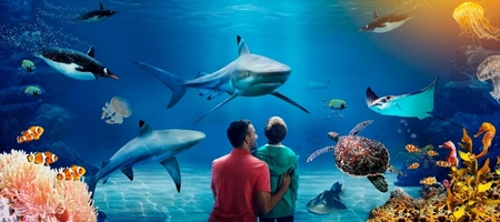Istanbul Aquarium Florya