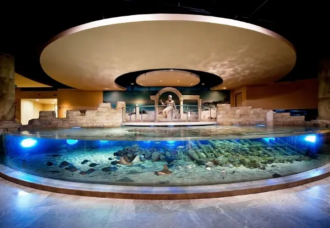 Istanbul Aquarium Florya