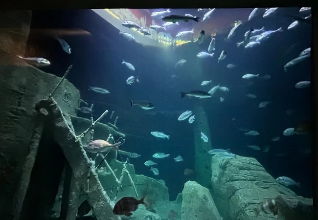 Istanbul Aquarium Florya