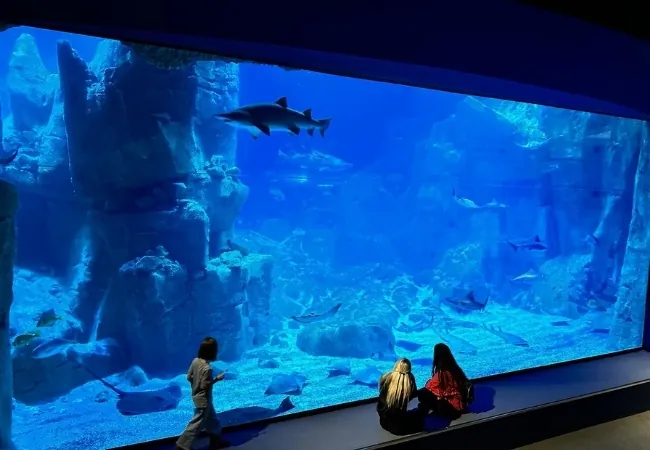 Istanbul Aquarium Florya