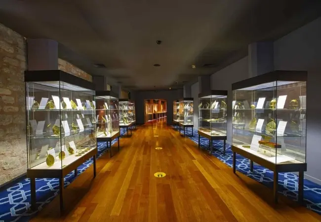 Museum Of The History Of Science And Technology In Islam Entrance
