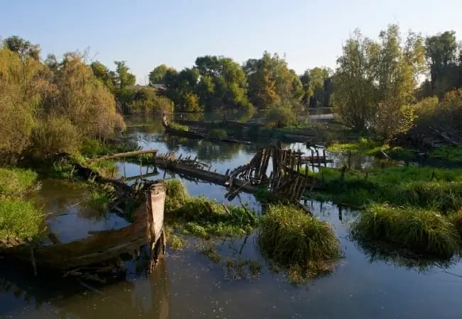 Sile Agva Day Trip From Istanbul