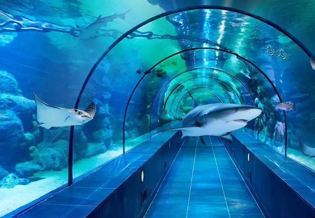 Viasea Aquarium Crocodile Park Entrance