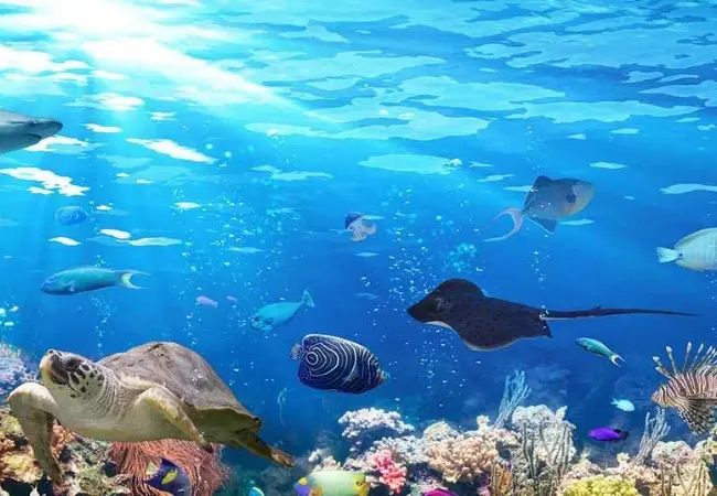 Viasea Aquarium Crocodile Park Entrance