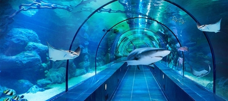 Viasea Aquarium & Crocodile Park Entrance